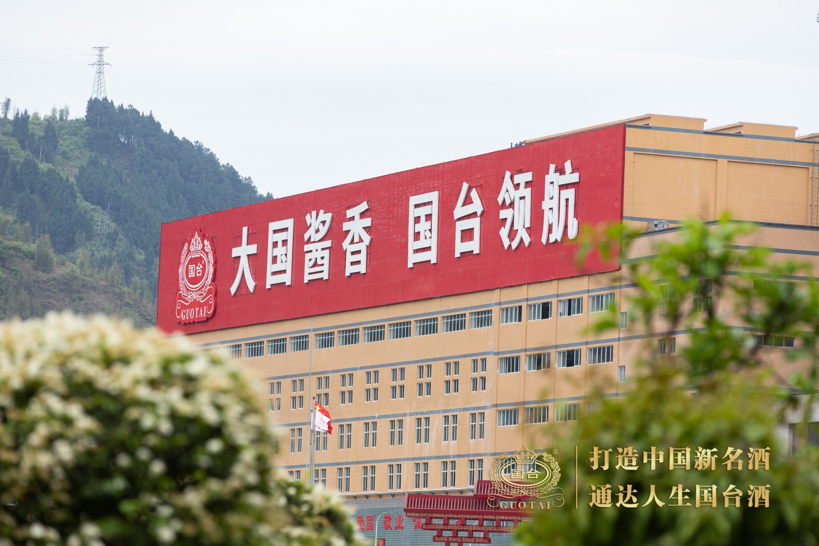 粘贴的图片